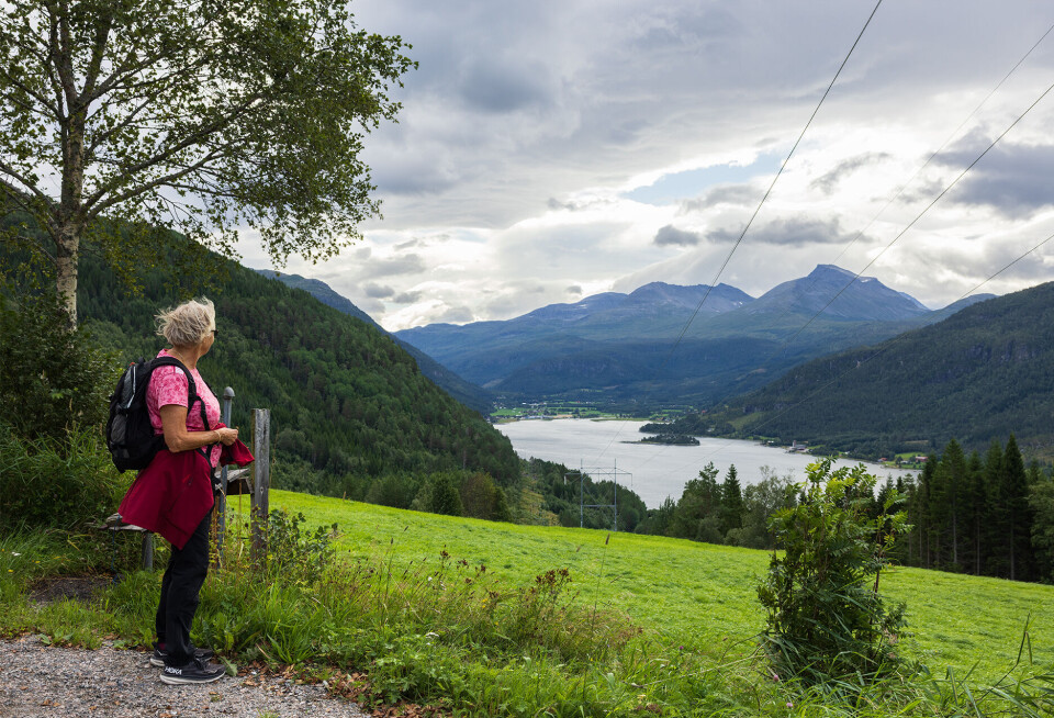 Utsikt fra Todalen til Hjellnes Dame i turklær ser på utsikten over fjorden