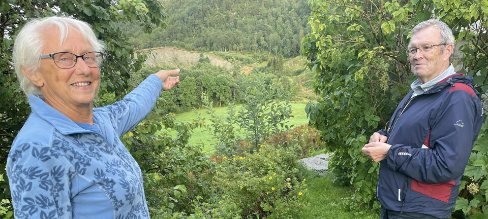 Sølvskatt og ymse anna
