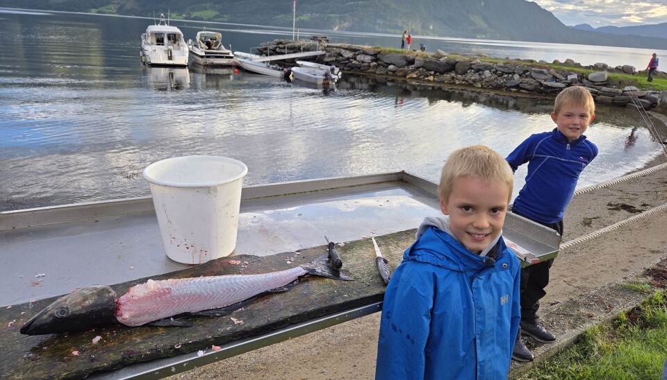 Knut Finborud Reigstad vann klassen for lengste fisk. to barn ved en sløyebord med fisk på