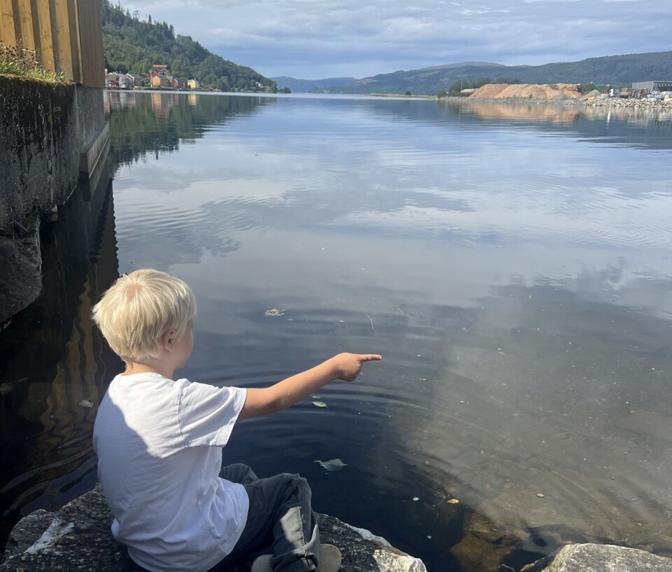 Surnadalsøra. gutt som peker ved elv