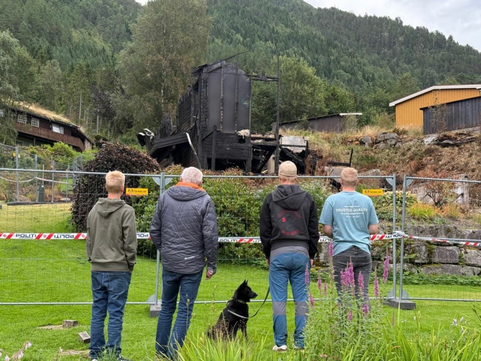 Dramatisk og trist Fire menn ser på en branntomt sammen med en hund