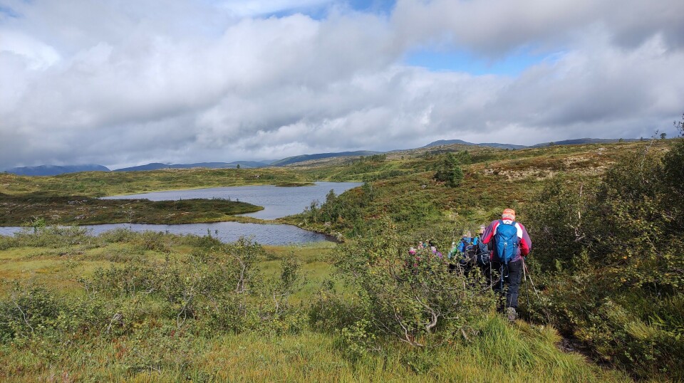 Vi kjørte opp Dalseggliene og gikk først til Salvatna. Flere personer på gåtur på fjellet. Sommervær og skyer på himmelen.