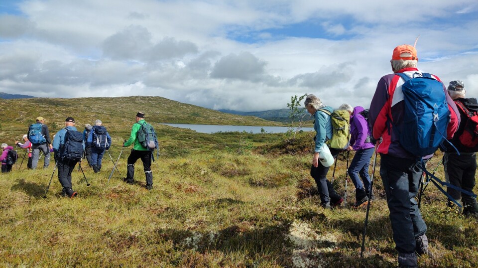 Stuttjønna i bakgrunnen. Flere turkledde personer på tur på fjellet.