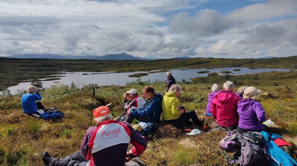Matpause ved Holmvatnet. Flere turkledde personer som tar en rast på fjellet. Et lite fjellvann i bakgrunnen. Sommervær, blå himmel med litt skyer.