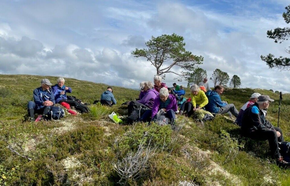 Tirsdagstur til Salvatnet, Holmvatnet og Holmvassetra Flere turkledde personer som tar en rast på fjellet. Sommervær, blå himmel med litt skyer.
