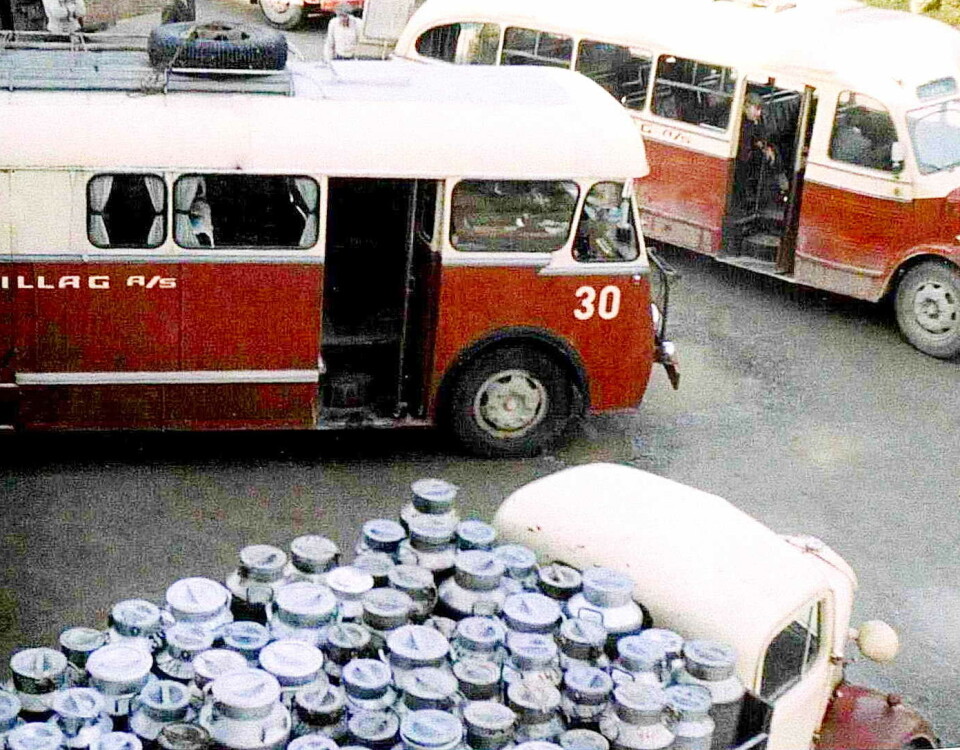 30’en var «mjølkerute» frå Bøfjorden via Snekkvika og Bøverdalen til meieriet på Skei. Bak er Valsøyfjord-bussen, som mellom anna frakta geitmjølka hans Anders i Haugaskaret. Nærast ein av meieriet sine eigne lastebilar mede masse spann (og måla i billaget sine fargar!). Arkiv Bøfjorden Historielag To røde og hvite busser med åpne dører. I forgrunnen en lastebil med blanke melkespann.
