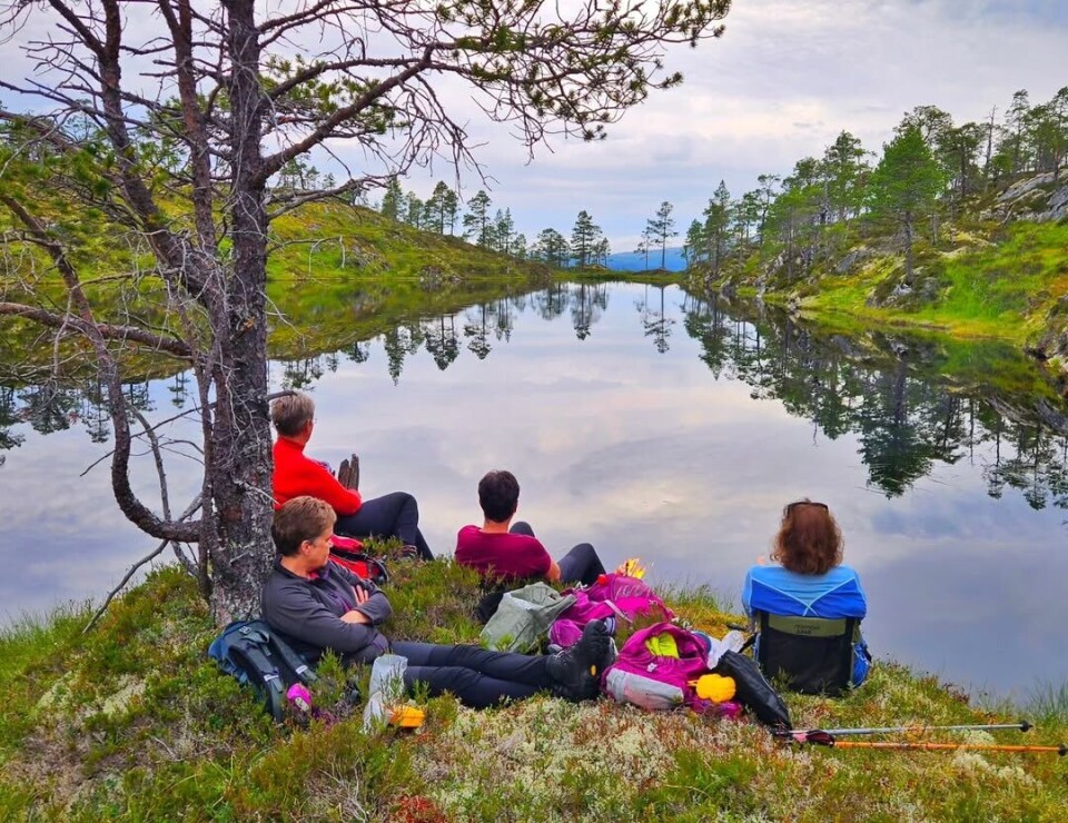 God morgen 15. august