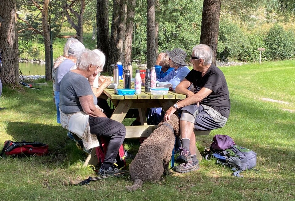 Stavgangtur langs Toåa Flere turgåere og en stor hund med krøllete pels rundt et rasteplassbord ved en gapahuk. Sol og sommer.