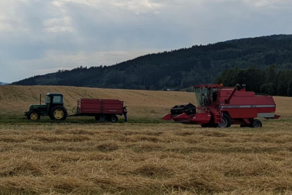 Trøsking hos Bernhard Honnstad Grønn traktor med henger og en stor rød skurtresker kjører på en kornåker med fjell i bakgrunnen. Skyer på himmelen.