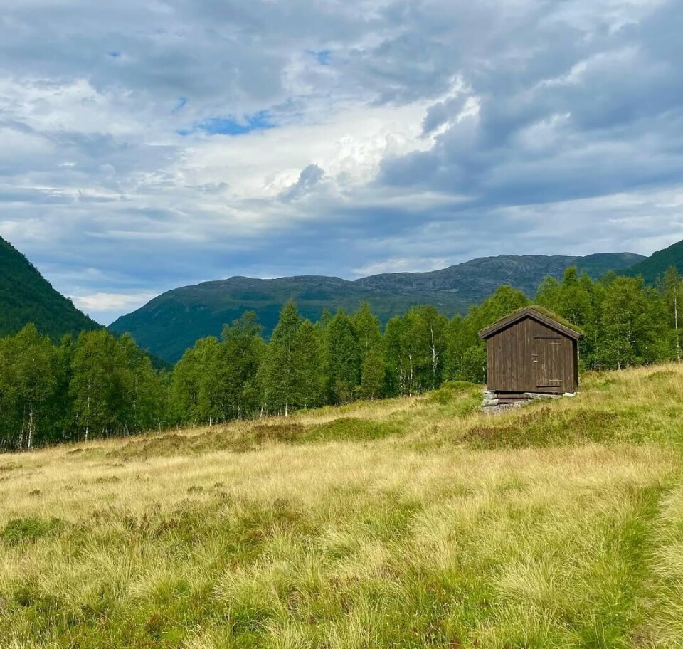 Fin tur inn til Trettsetra i Kvenndalen 🌼🍃 Et lite seterhus på en setervoll i fjellet. Skog, fjell og skyer på himmelen i bakgrunnen. Sommer.
