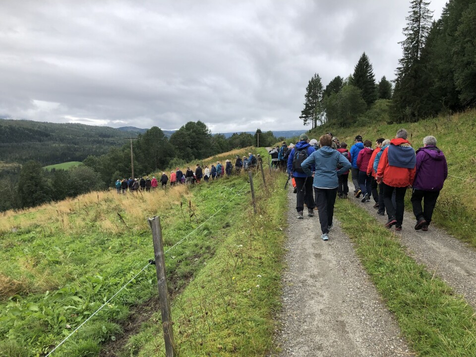 På rekke og rad ned bakkene til Rønningen. Mange turkledde mennesker som går på en grusvei, langs gjerder og grønne beiteområder, i grått og vått sommervær.