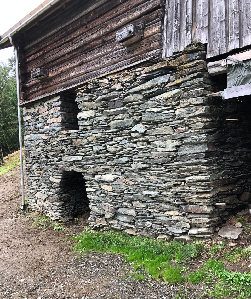 Fine restaurerte fjøsmurer. Flotte oppmurt mur på et gammelt fjøs. Grått og vått sommervær