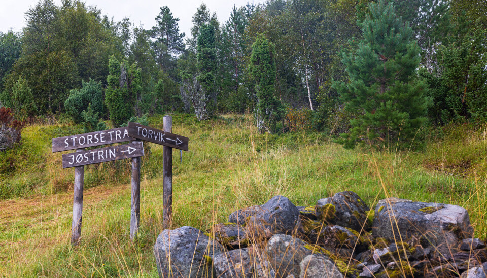 Godt skilta ved Storsetra. Skilt av tre satt opp ved en tursti i marka. Sommer og gråvær.