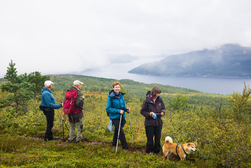Utsikt mot Flessen, Hamnesfjorden og Trongfjorden. Fire turgåere, kledd for regnvær, og en spisshund, som står og se på utsikt over fjord og fjell, mens de fleste fjelltopper skjules av tåke. Sommer og gråvær.
