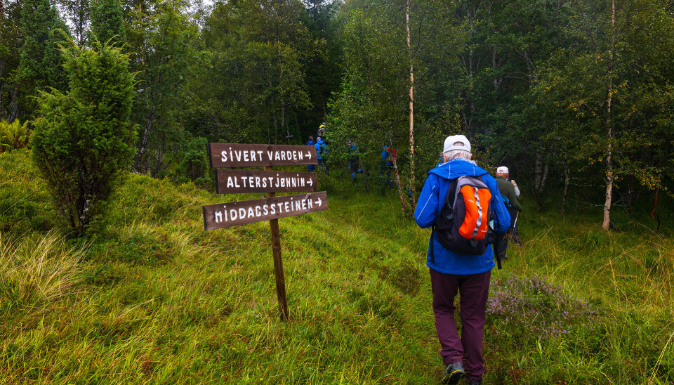 Vi går vidare frå Storsetra. Noen få turgåere, kledd for regnvær, passerer et skilt ved en tursti i marka. Sommer og gråvær.