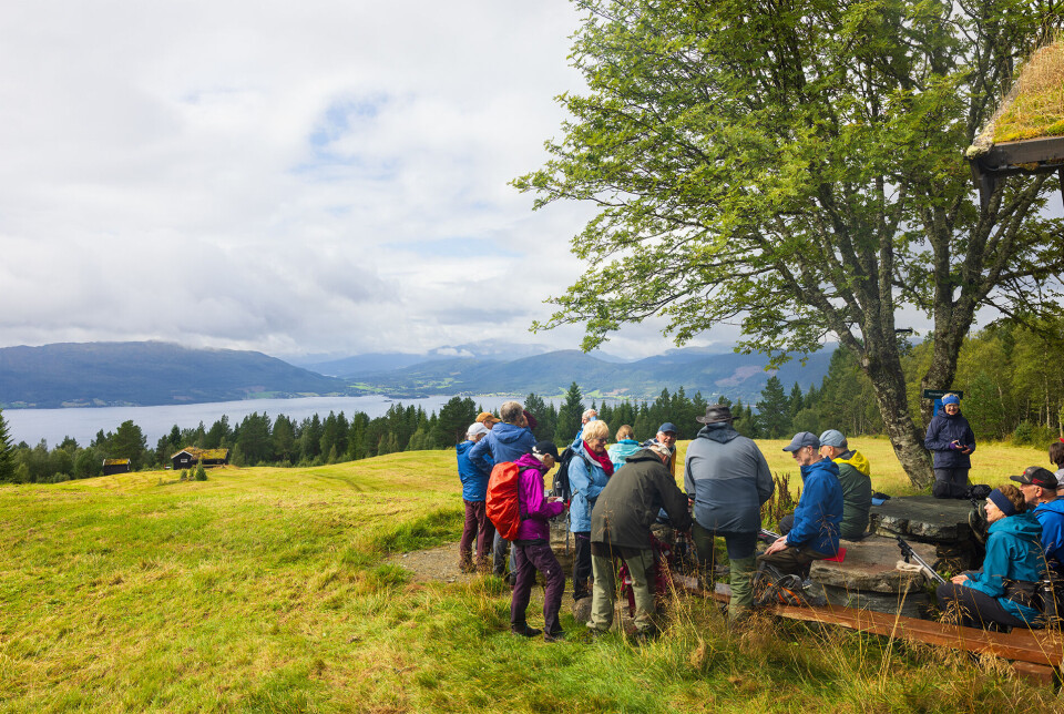 Tilbake ved Storsetra. Ei gruppe på mer enn ti turgåere, kledd for regnvær, på en rasteplass under et tre ved et grønt jorde. I bakgrunnen skimtes fjord og fjell gjennom tåke.