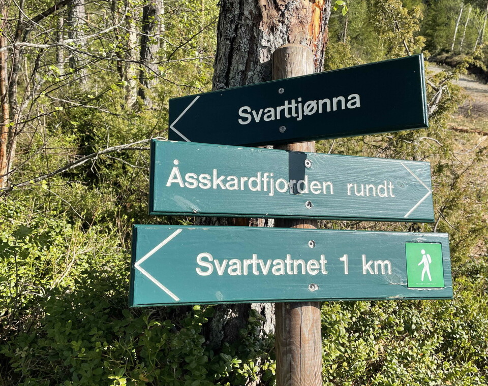 Bøfjord Idrettslag har skilta korte og lengre turar rundt bygda. Tre turskilt på en stolpe i marka.