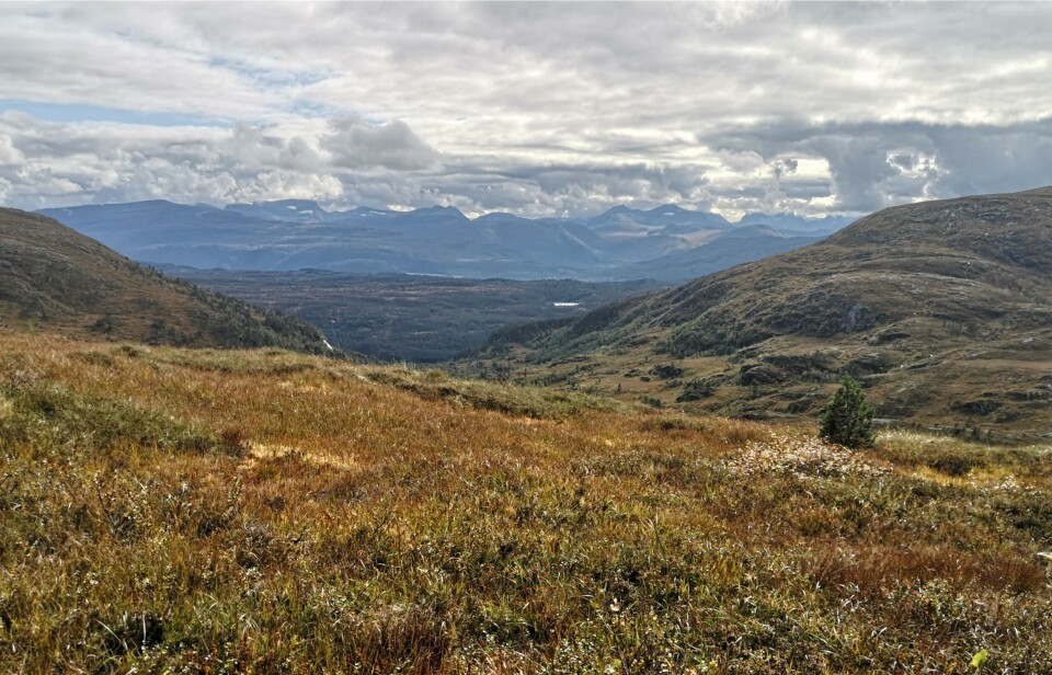 Fjellgruppa til Resdalen