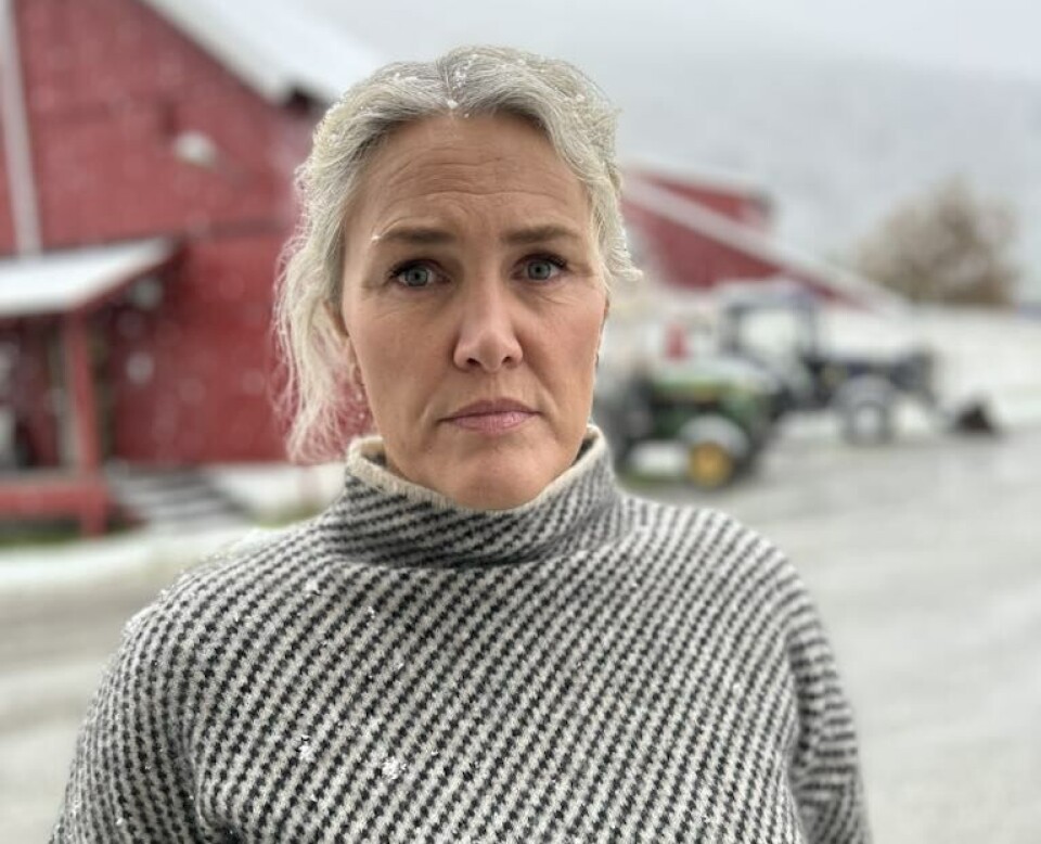 Rovviltansvarlig i styret i Møre og Romsdal Bondelag, Kristin Gilje Sandnes