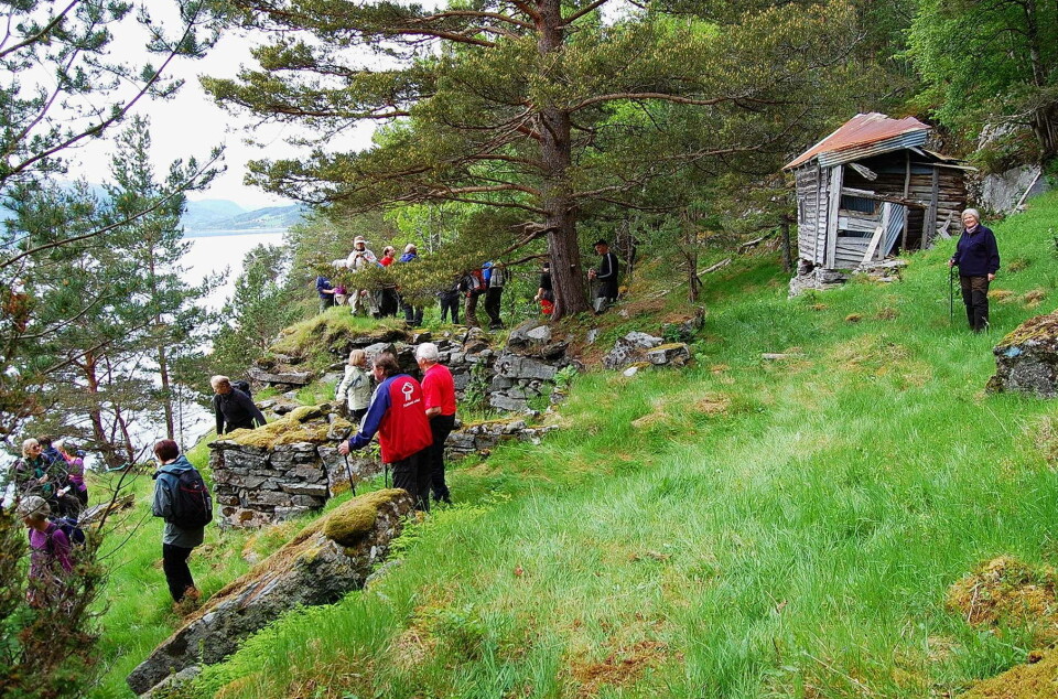Båtvika har gravhaugar frå bronsealderen og var «hamneby» med handel og gjestgiveri på 1800-talet. Etter fråflytting i 1910 finst restar av ei løe og enno mange hustufter att. Her ei utflukt for nokre år sia.