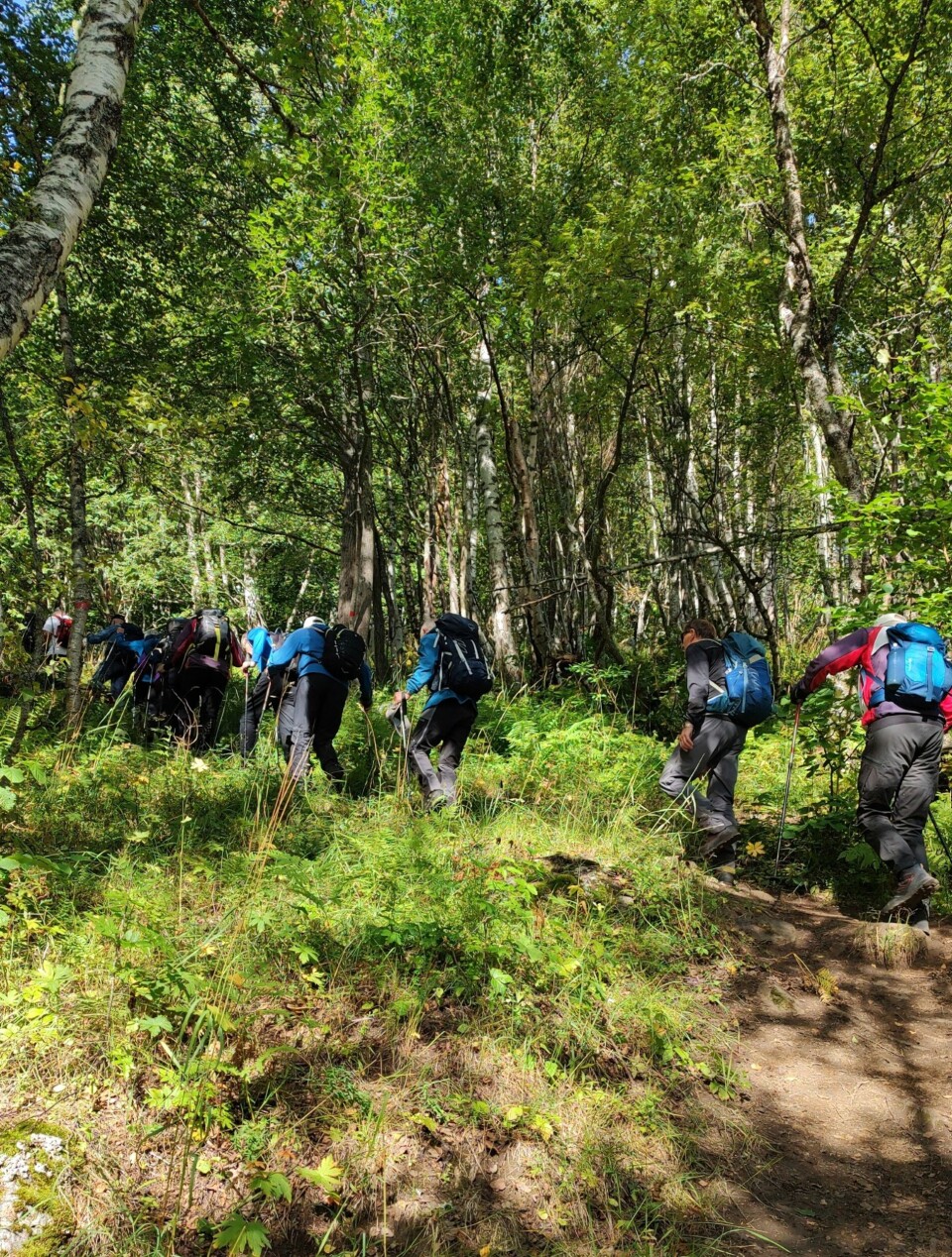 Følger en merket og bratt tursti opp til Vollasetra. Mennesker på tur i skogen.
