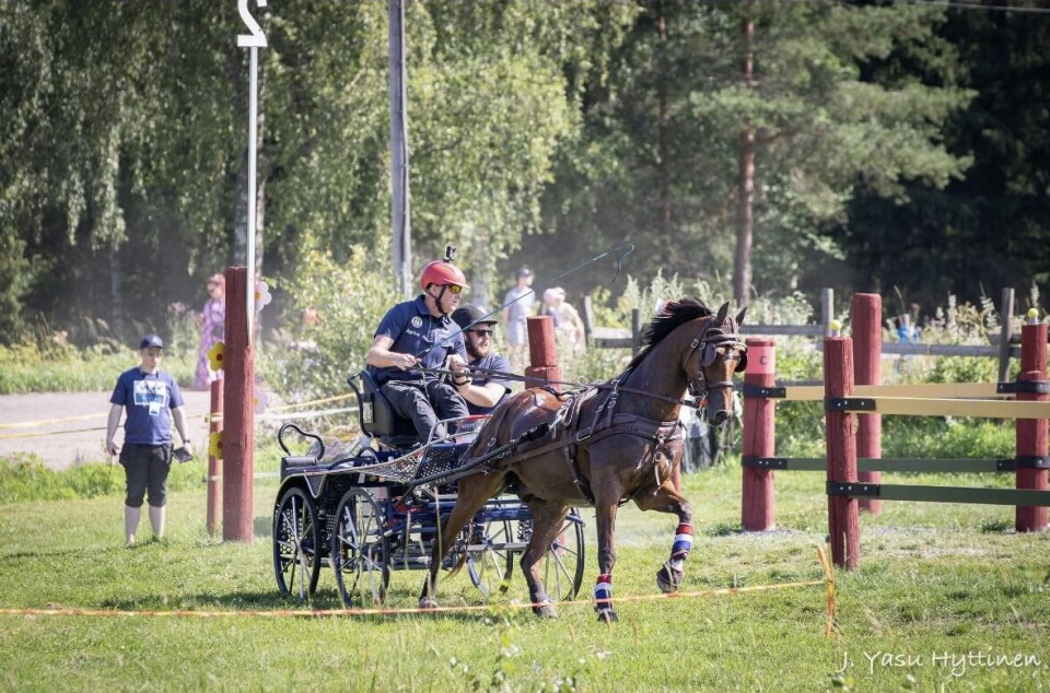 Øyvind Mikkelsen skal representere TRKL i NM og VM i sportskjøring. Menn som kjører firehjulsvogn og brun hest i maratonhinder.
