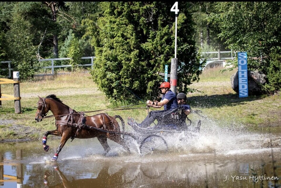 Maratonkjøring er en rekke hindre i en lengre terrengløype som skal gjennomføres på kortest mulig tid. Øyvind og hesten er klare! Hest med vogn i galopp gjennom vann.