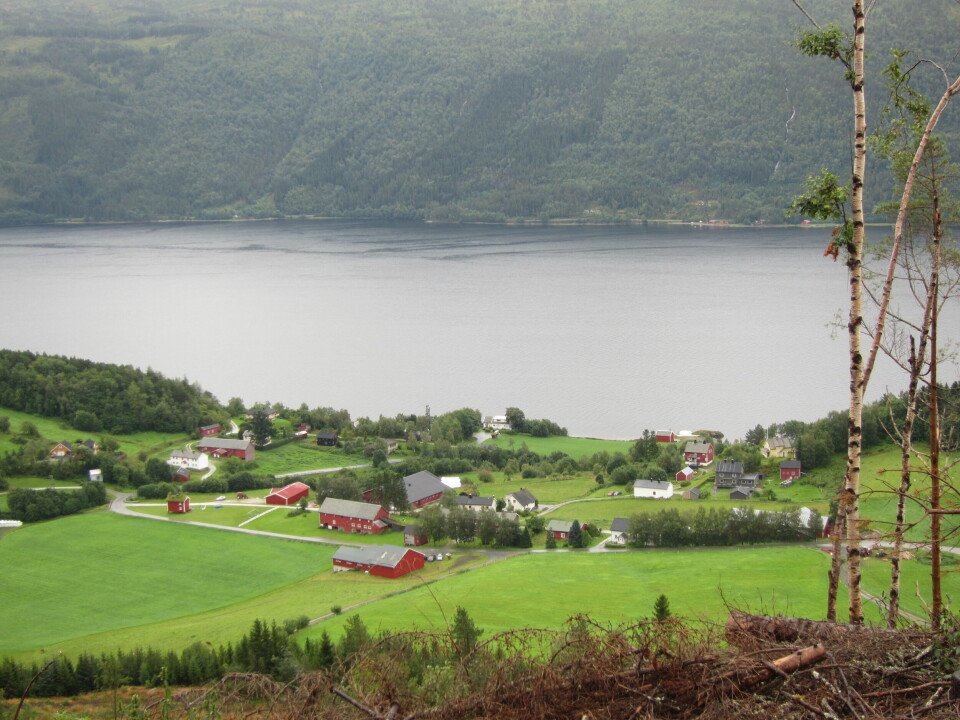 Årnes-grenda. Ei grend med hus og gårder, ved fjorden. Sommer.