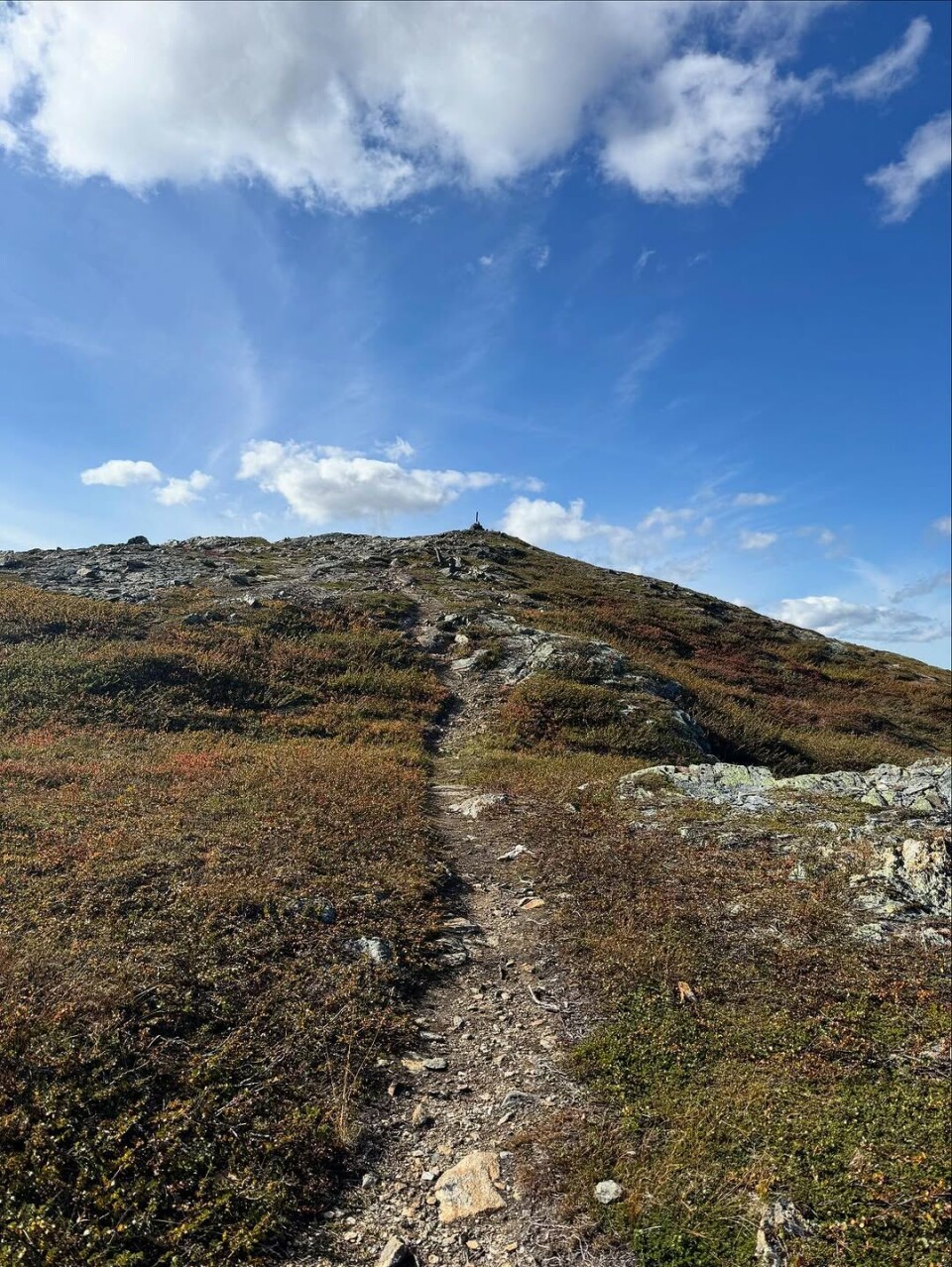 Kom deg ut dagen ble perfekt ☀️ Sol, varmt og fine høstfarger på Ondusfjellet 936moh, en helt perfekt i dag