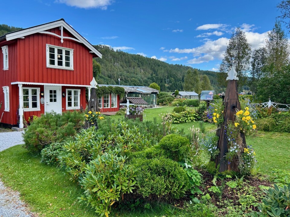 Det er trivelig å komme inn på tunet på Fjellset. De stilige blomstertårnene fant Elin på ei natt hun lå og funderte, og hun forteller at hun ofte starter med å tegne skisser. Blomstertårnene er utstyrt med vippelokk og innebygd vanningsanlegg. Frodig hage med tårn med blomster som henger ut, foran et rødt hus med hvite karmer.