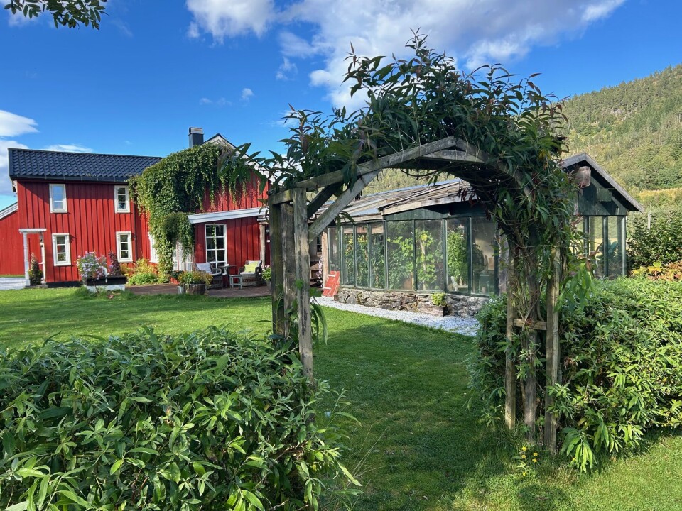 Hekken av pil fikk Elin en gang hun var hos frisøren. - Hagen blir til mens man går, sier hun. En hekk med buegang foran huset.