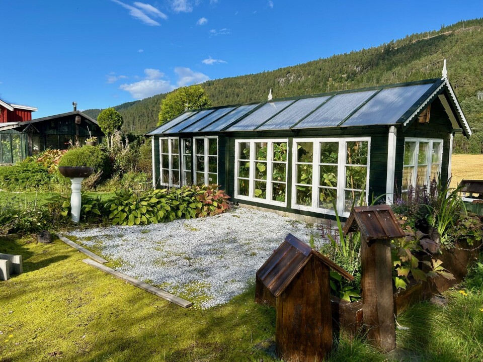 Man kan aldri få for stort drivhus, og nylig måtte Ola bygge på så Elin kunne dyrke flere grønnsaker. Drivhus i hagen