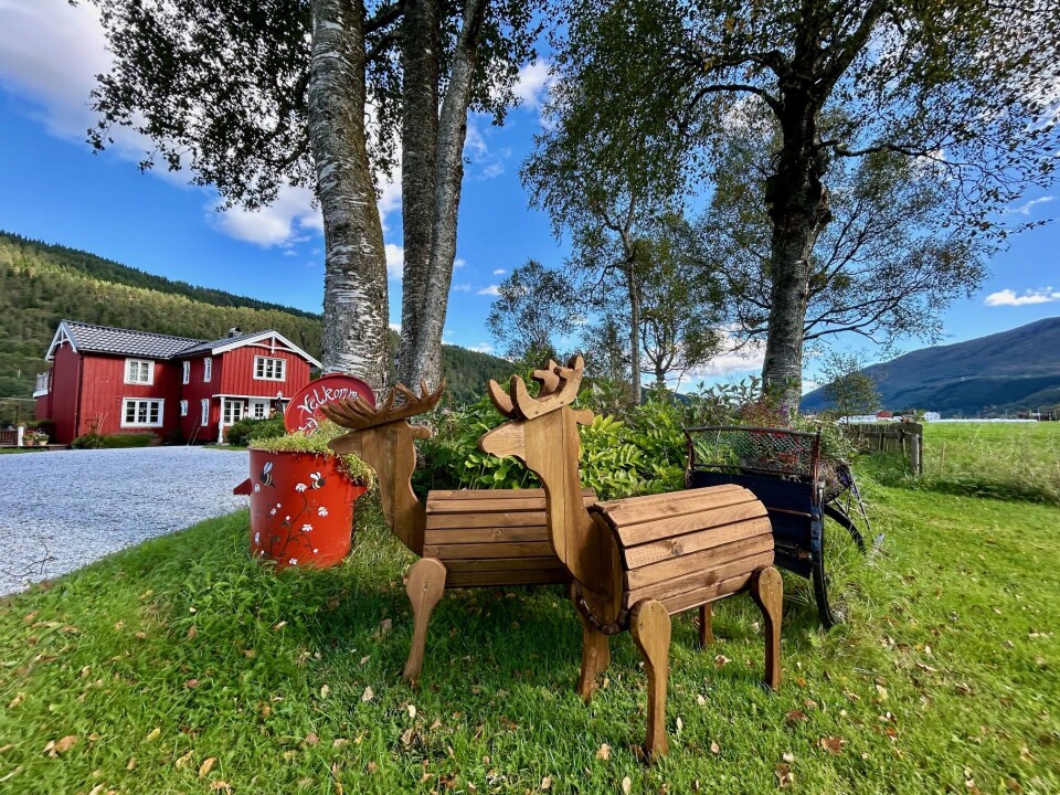 Elin ønsket seg reinsdyr til å pynte til jul. Nå ser hun at biler sakker på farten og kikker etter 'råddyrene' som står i innkjørselen. To hjemmesnekrede reinsdyr.