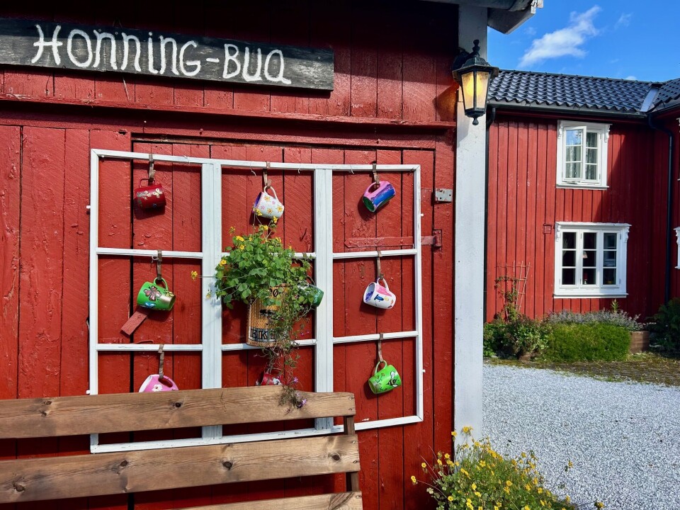Barnebarna har fått være med og male de fargerike koppene som pryder veggen på utsalgsbua. Kopper som henger i hvite sprosser på en rødmalt vegg.