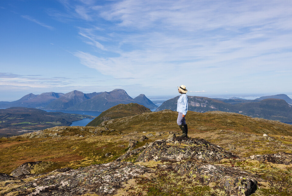 Nyter utsikten fra Tindan. Ei dame med hatt, som står på fjellet og ser ut over fjord og fjell. Sommer og lettskyet himmel.