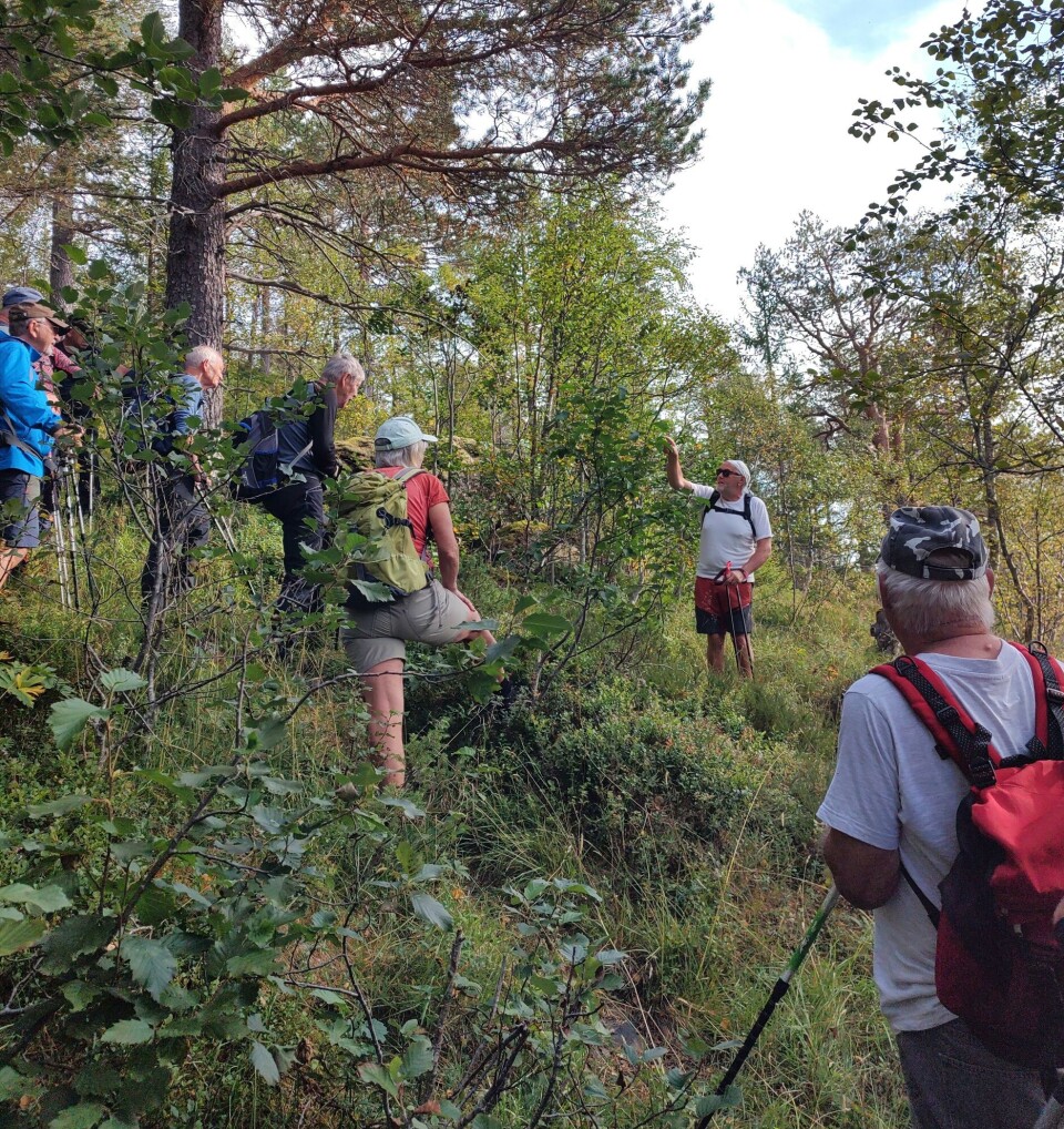 Starten var noe bratt som gikk gjennom lyng og tett løvskog. Ei gruppe med turkledde folk som går tur i bratt terreng. Sommer, sol og lettskyet himmel.