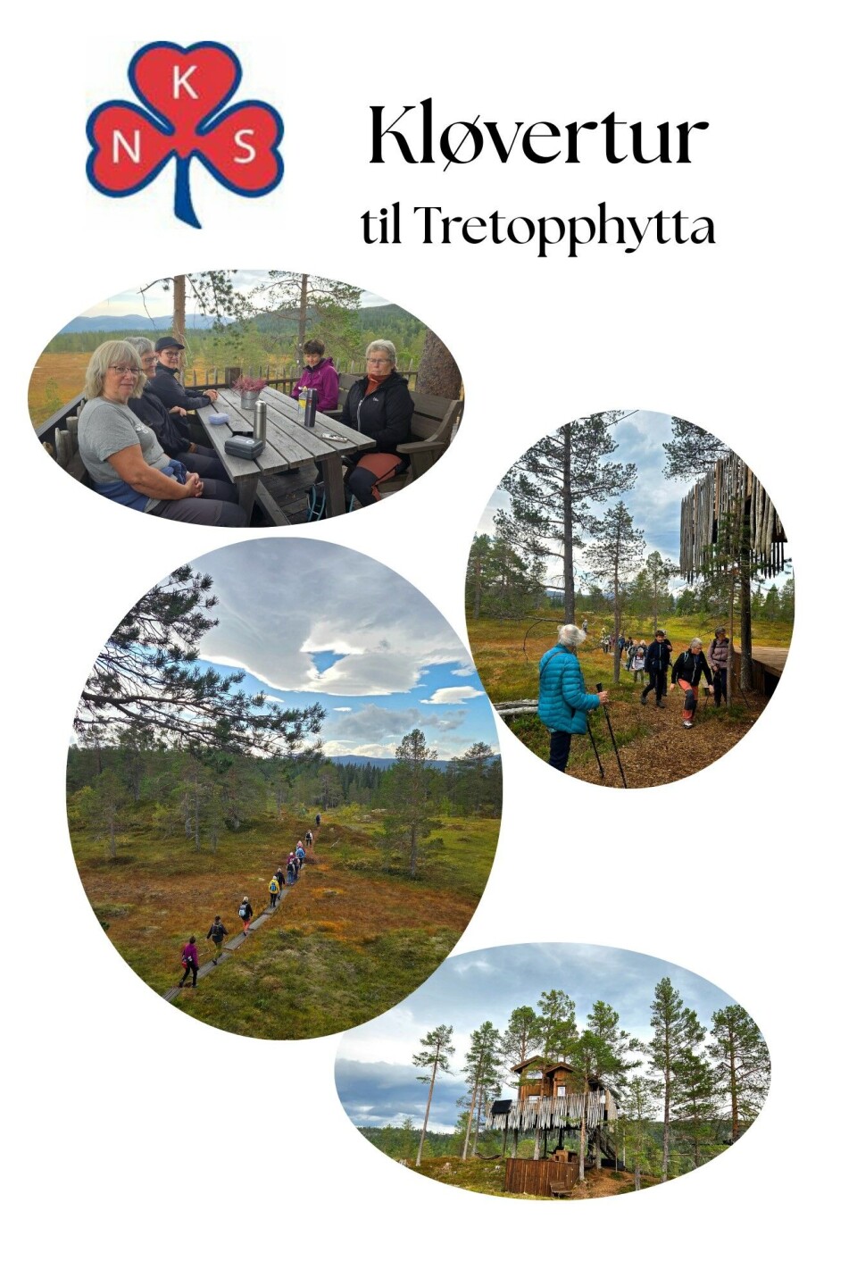 Kløvertur til Tretopphytta