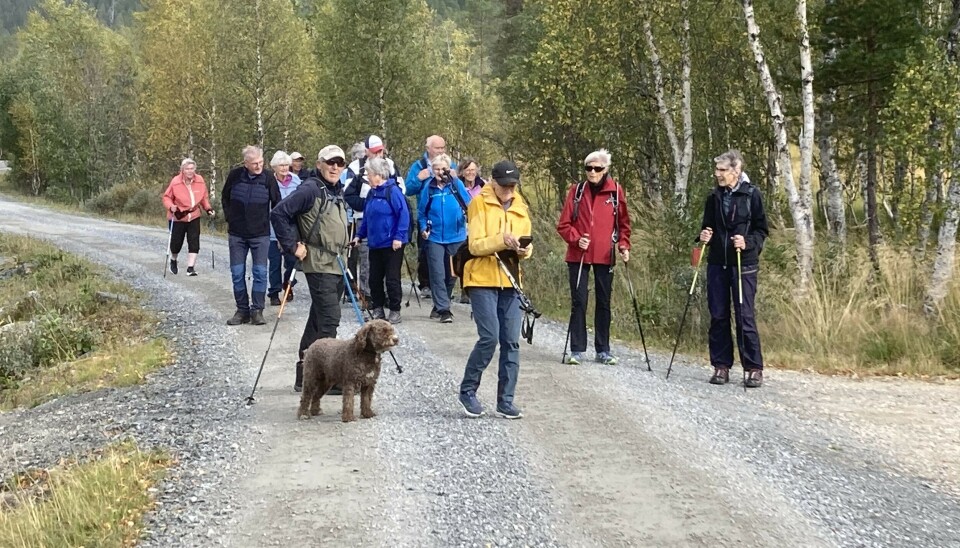 Stavgang i Vindøldalen