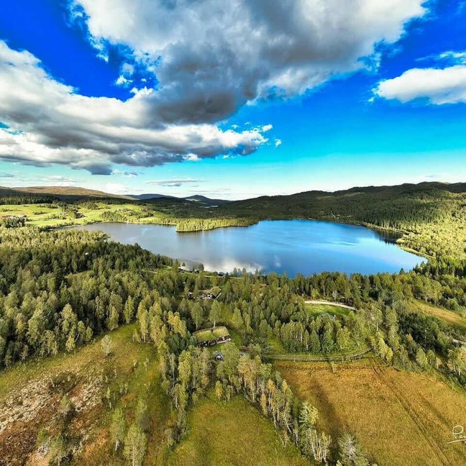 #drone #hytta #høst #rindal #trollheimsporten #tklesernes #rindaltidtilåleve #lykkjahyttefelt #rørvatnet
