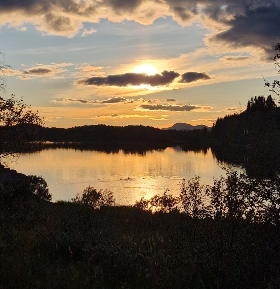 Fint kveld ved Krokvatnet. Skumring over et vann i marka. Sola er i ferd med å gå ned, og er gjemt bak en sky. Skimter løv på trærne.