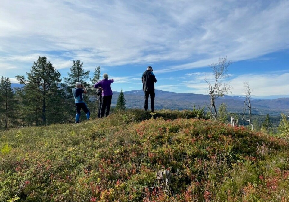 Høstfargene begynner å komme. Fire friluftskledde personer på tur i marka. Høst, sol og blå himmel.