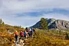 Ei gruppe med turkledde personer som går på rekke på en fjellsti. Høst og overskyet himmel. Fjell i bakgrunnen.