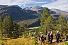 Ei gruppe med turkledde personer som går på rekke på en fjellsti. Høst og overskyet himmel. Skog og fjell i bakgrunnen.
