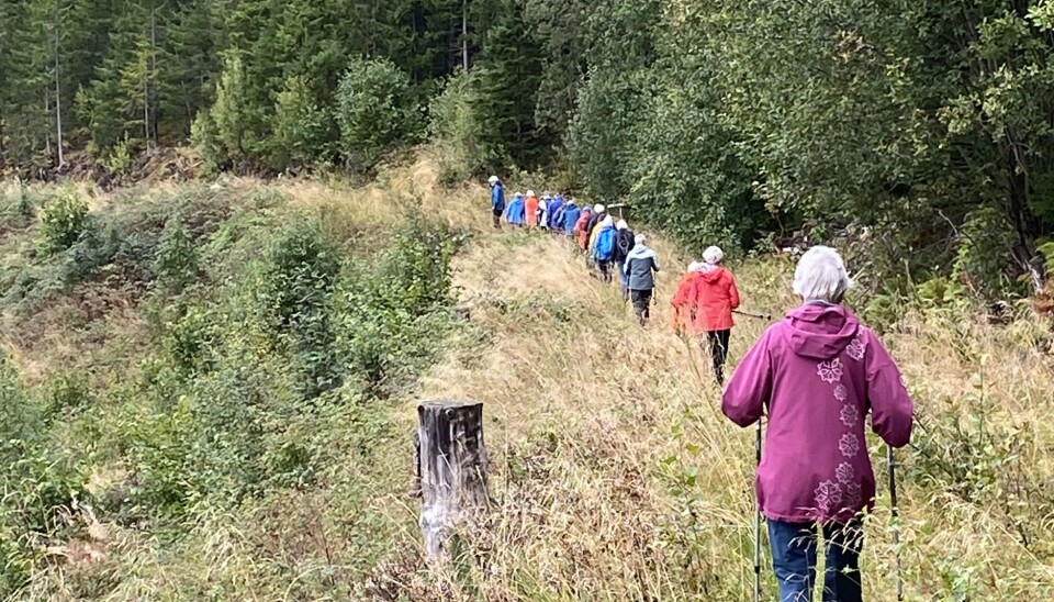 mennesker på rekke inn mot skog