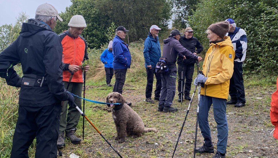 mennesker på tur med hund i midten