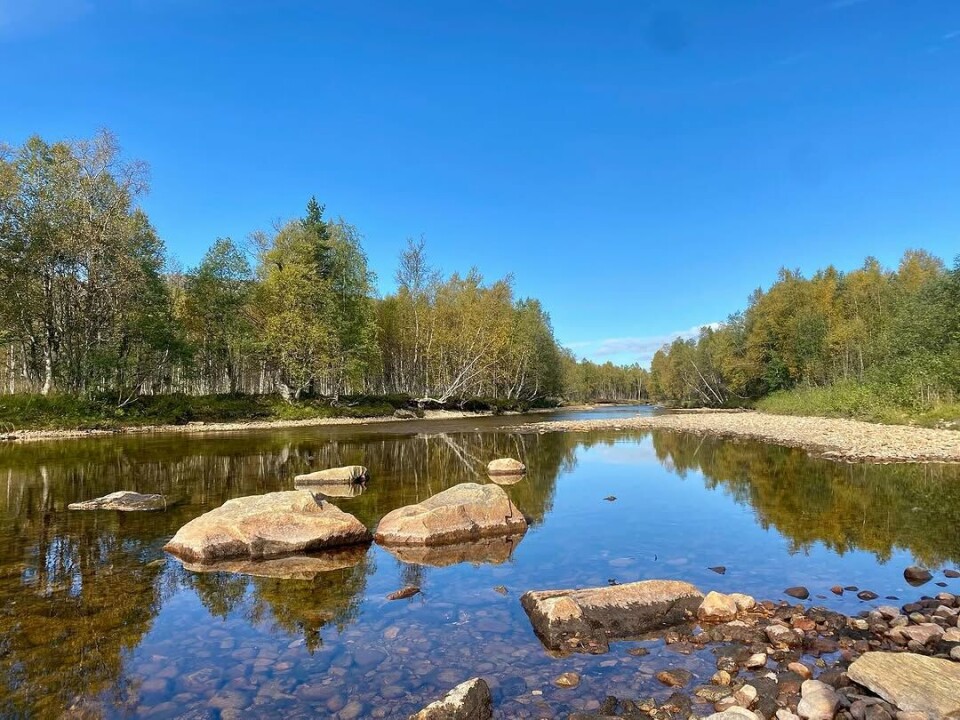 Høstfarger i Vindøldalen