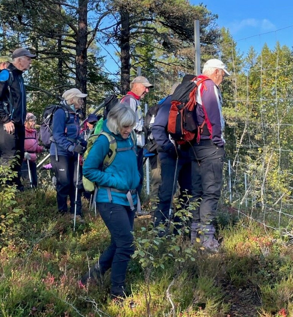 Tirsdagstur til Dragsetgruva Ei lita gruppe turkledde folk som går i skogen. Høstvær og sol.