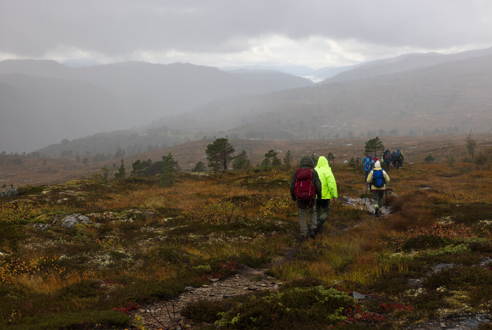 Så kom regnet. Ei gruppe turkledde personer som går over i myr. Høstvær med regn og tåke.