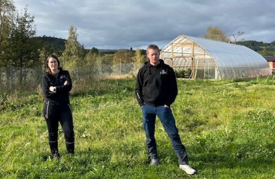 Gunvor og Odd på Lykkja Bakkan. Ei dame og en mann som står foran et drivhus. Høstvær og overskyet himmel.