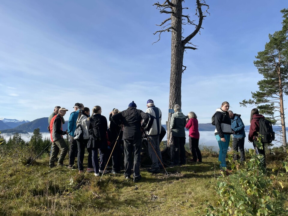 Sesongens siste stavgangtur Ei stor gruppen turkledde folk, noen med gåstaver, som står rundt en gadd og ser på utsikten. Fjord og fjell i bakgrunnen. Høstvær og blå himmel.